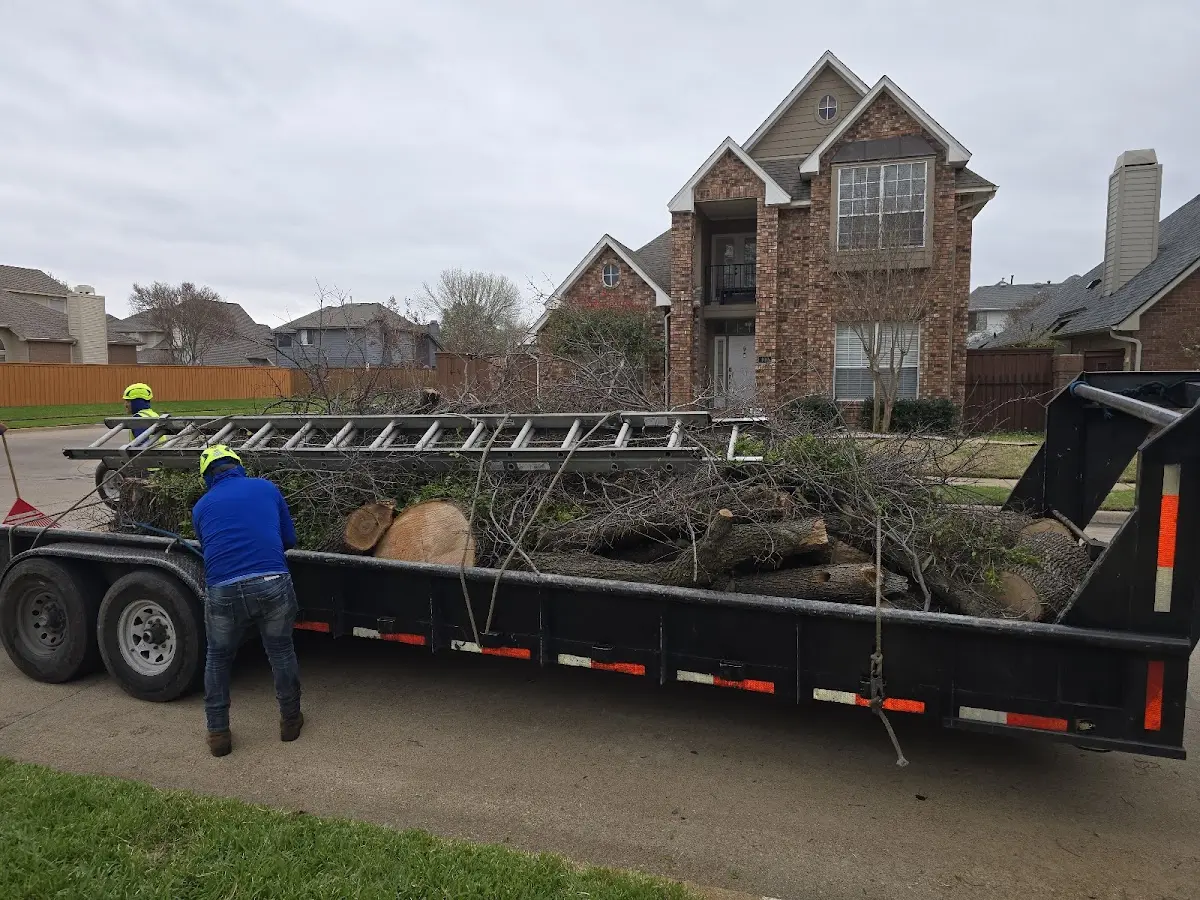 Expert Tree Fertilization with proper safety equipment in Sanford